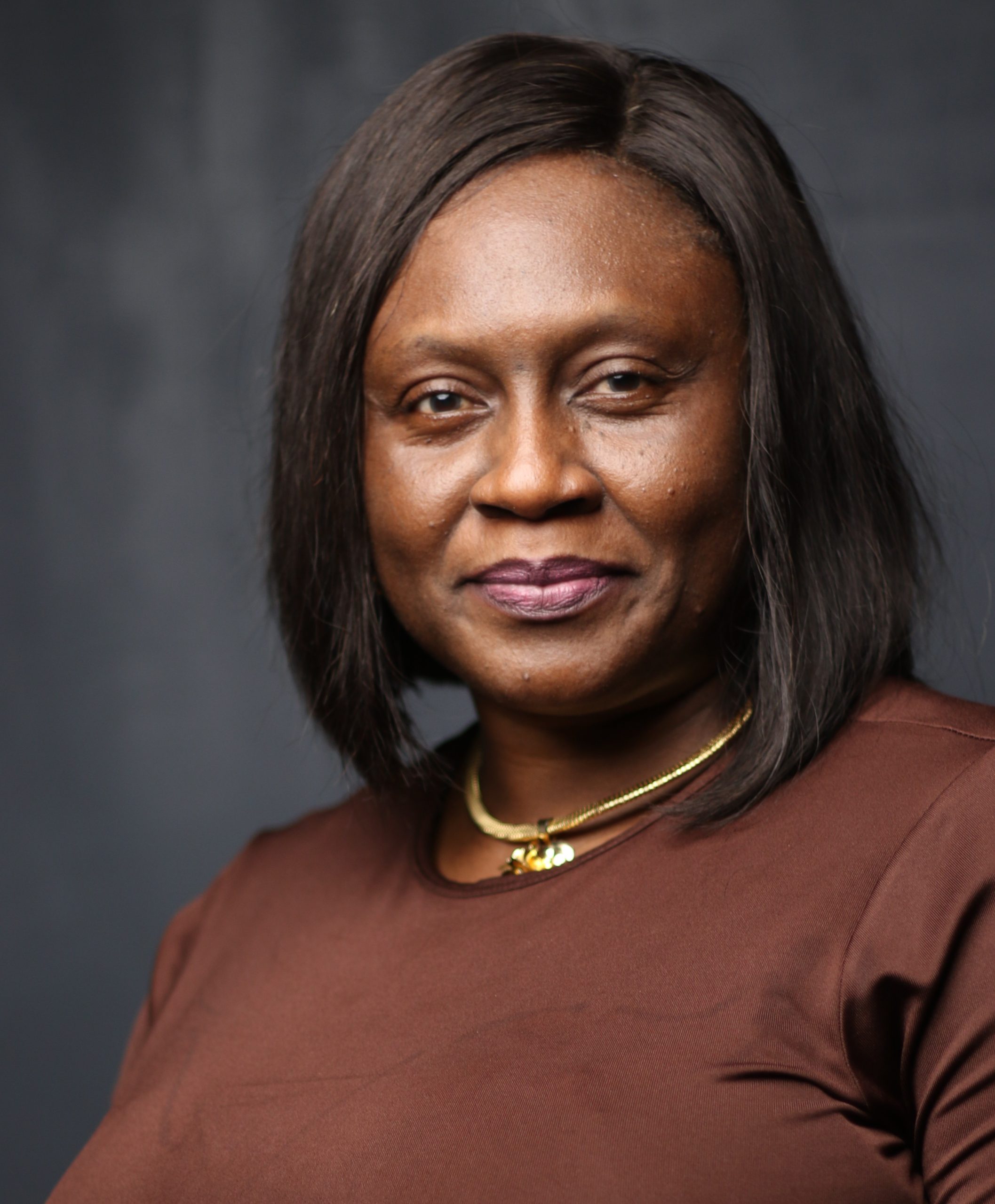 Abimbola M. Adedeji